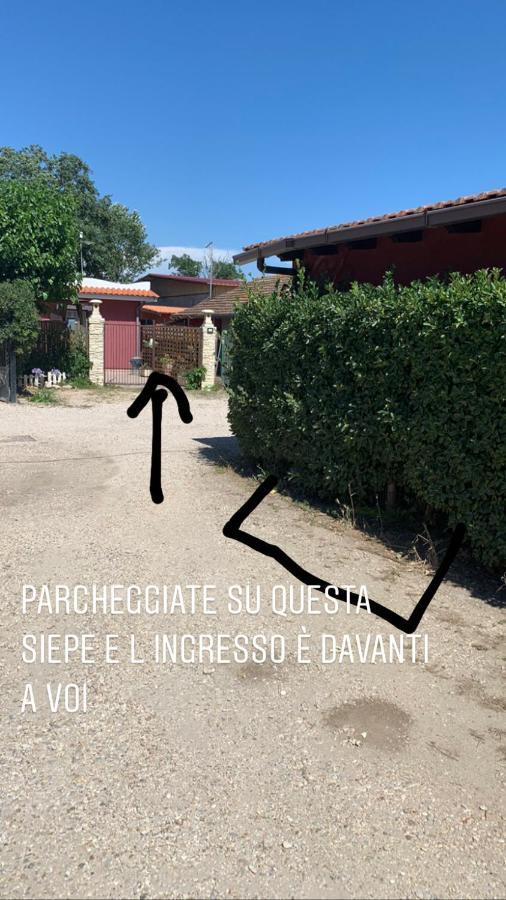 Apartament Casa Fe Fregenae Zewnętrze zdjęcie
