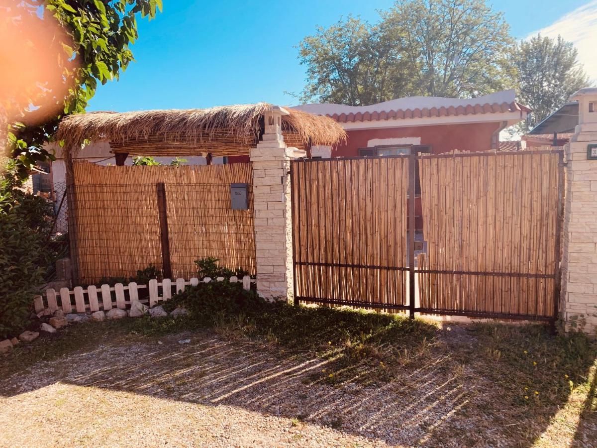 Apartament Casa Fe Fregenae Zewnętrze zdjęcie